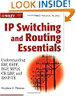 IP Switching and Routing Essentials: Understanding RIP, OSPF, BGP, MPLS, CR-LDP, and RSVP-TE