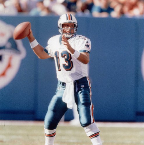 DAN MARINO MIAMI DOLPHINS 8X10 HIGH GLOSSY SPORTS ACTION PHOTO (N)