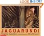 Jaguarundi (Blue Ribbon Signature)