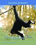 Up a Rainforest Tree (Amazing Journeys) by Carole Telford (2006-06-27)