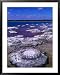 Stromatolites (Cervantes), Australia Framed Art Poster Print by Christopher Groenhout, 31x39