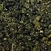 ali mountain tea