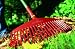 WOLF-Garten multi-change Leaf Rake UIMC