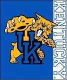Kentucky Wildcats NCAA Stripes Raschel Blanket/ Throw 50 x 60