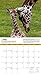 National Geographic Giraffes 2017 Wall Calendar