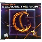 Because the Night