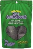 Just Tomatoes Organic Just Blueberries, 2 Ounce Pouch