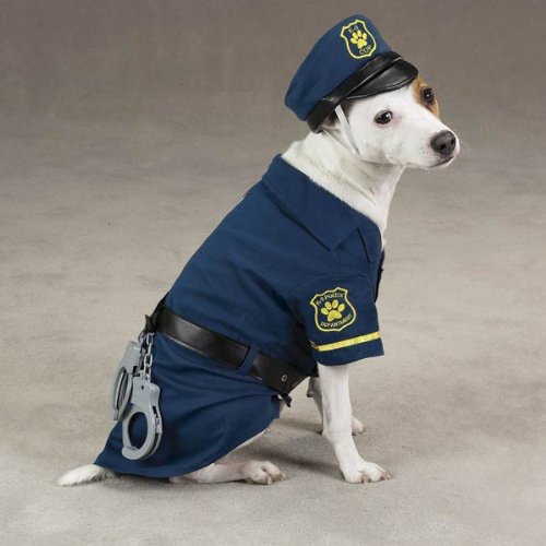 Childrens Toyshop  Pet Supplies : Dog Costume - Casual Canine K-9 Pet costume - X-Large - (XL)