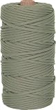 Paracord 550lb Nylon 300 Feet Tube / Foliage Green