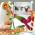 ���i�̏ڍ�