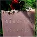 Egyptian Geranium Soap with French Rose Clay Cocoa Butter and Rose Petals 8 Oz