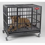 LARGE - ProSelect Empire Crate Cage - 42 1/4L x 30 3/4W x 41 1/4H