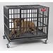 LARGE - ProSelect Empire Crate Cage - 42 1/4L x 30 3/4W x 41 1/4H