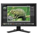 EIZO CG241W-BK 61 cm (24 Zoll) widescreen TFT-Monitor (DVI, Kontrastverh&auml;ltnis 850:1, Reaktionszeit 6ms) schwarz