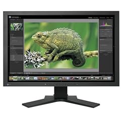 EIZO CG241W-BK 61 cm (24 Zoll) widescreen TFT-Monitor (DVI, Kontrastverh�ltnis 850:1, Reaktionszeit 6ms) schwarz