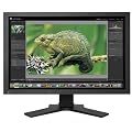 EIZO CG241W-BK 61 cm (24 Zoll) widescreen TFT-Monitor (DVI, Kontrastverh�ltnis 850:1, Reaktionszeit 6ms) schwarz