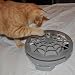 Panic-Mouse-Web-Automated-Cat-Toy_3.jpg