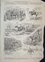1892 Men Who Fox Hunt Man With Reputation Old Print