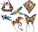 Schylling 3-D Kites Specialty Kites  (styles and colors vary)