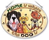 Amia Hand Painted Glass Suncatcher with Home Is Where The Dog Is Design, 5-1/4-Inch by 7-Inch Oval