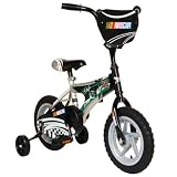 NASCAR Dale Junior 12-Inch Bicycle