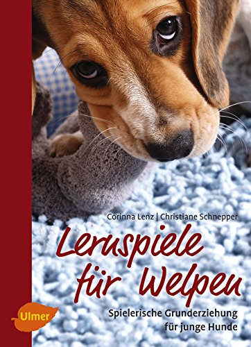 Lernspiele für Welpen: Spielerische Grunderziehung für junge Hunde (German Edition)