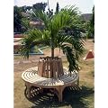 Pharao24 Gartenbank Baumbank Teakholz TEAK-EXKLUSIV