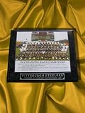 PITTSBURGH STEELERS SUPER BOWL XLIII CHAMPIONS TEAM PHOTO COLECTOR PLAQUE