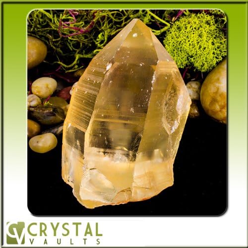 Golden Healer Lemurian Seed Crater Crystal