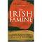 Irish History: a primer (there's more than Guns & Guinness!)