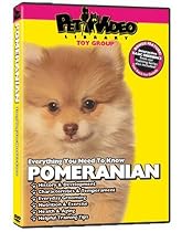 POMERANIAN DVD! Includes Dog & Puppy Training Bonus