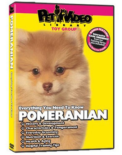 POMERANIAN DVD! Includes Dog & Puppy Training Bonus