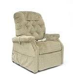 Easy Comfort 2-position Lift and Recline Chair
