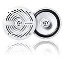 Blaupunkt MSX652 6.5-Inch Marine Coax Speaker Set