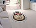 Fanmats 8330 Ohio State University Buckeyes Nylon Mascot Shaped Rug