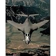 (16x20) B-1B Bomber (In Air II) Art Poster Print