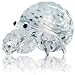 SWAROVSKI Hermit Crab 671837