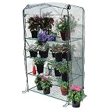 Early Start 4 Shelf Greenhouse, 40 Inch X 20 Inch X 66 Inch