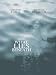 DVD : What Lies Beneath