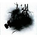 Evolution in the Wrong Direction (Lyrics included with album)
