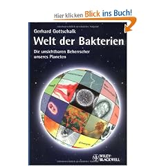 Welt der Bakterien: Die unsichtbaren Beherrscher unseres Planeten
