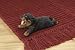 Rottweiler Puppy Figurine
