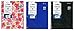 PlanAhead Plan Ahead See It Bigger 2 Year Monthly Planner, 2016-2017, Assorted Colors, Color May Vary (86805)