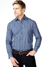 Blue Harbour Pure Cotton Striped Shirt