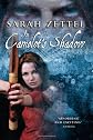 In Camelot's Shadow