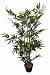 120cm Artificial Bamboo x 4