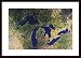 Great Lakes From Space, Art Poster with Wood Frame, poster size: 32