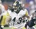 Troy Polamalu Autographed Pittsburgh Steelers 8x10 Photo