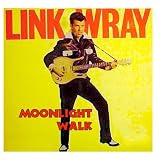 Moonlight Walk