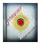 Spyology: The Complete Book of Spycraft (Ology Series)